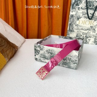 Dior-Belts