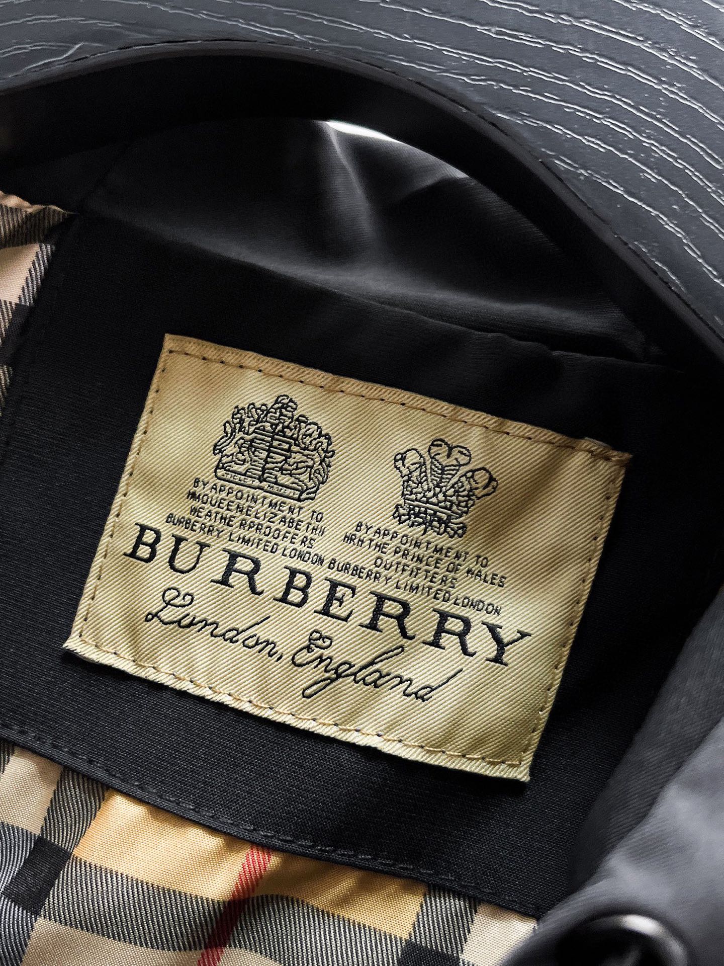 Hoodies & Sweatshirts