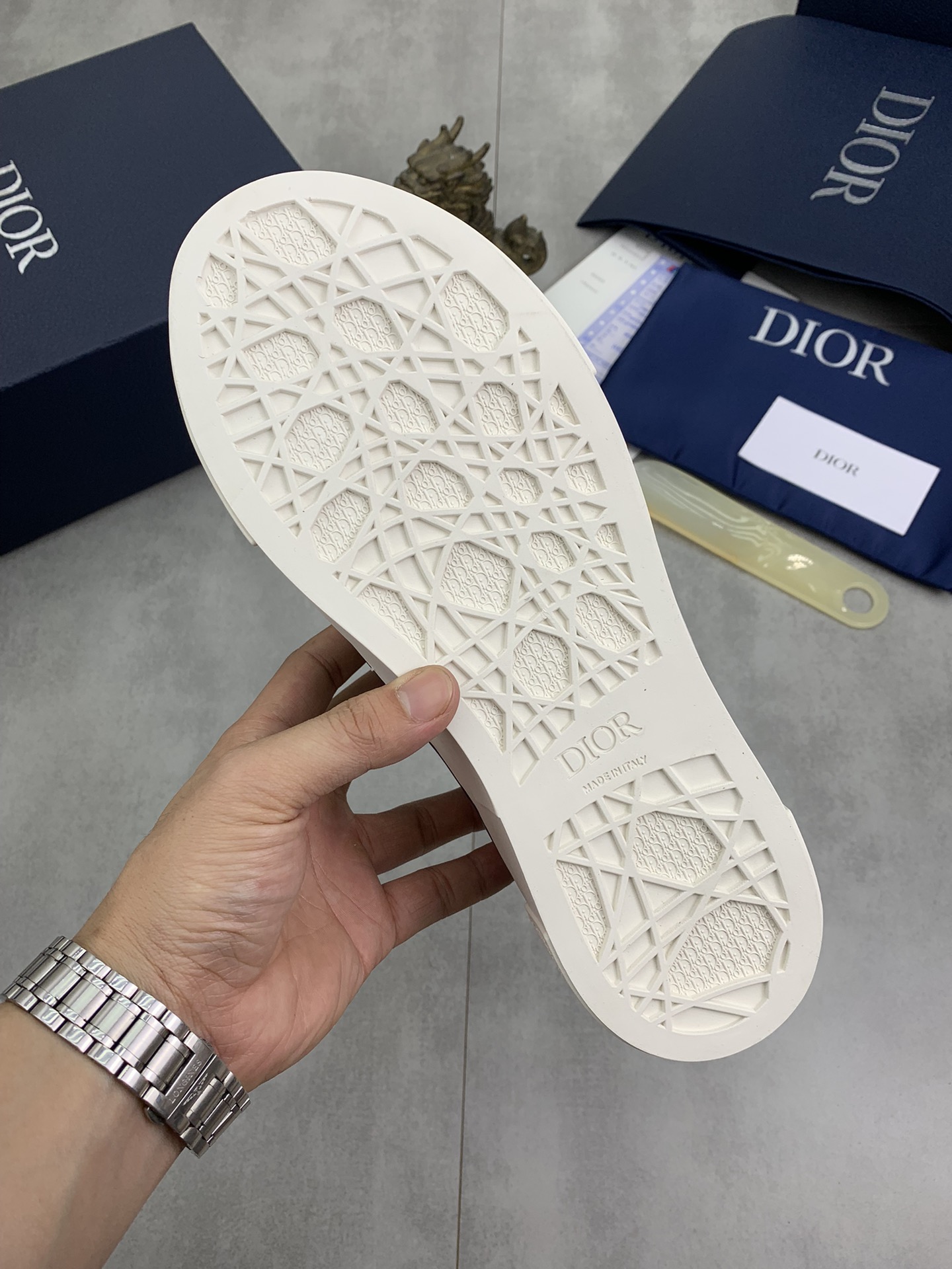 DiorSHOES