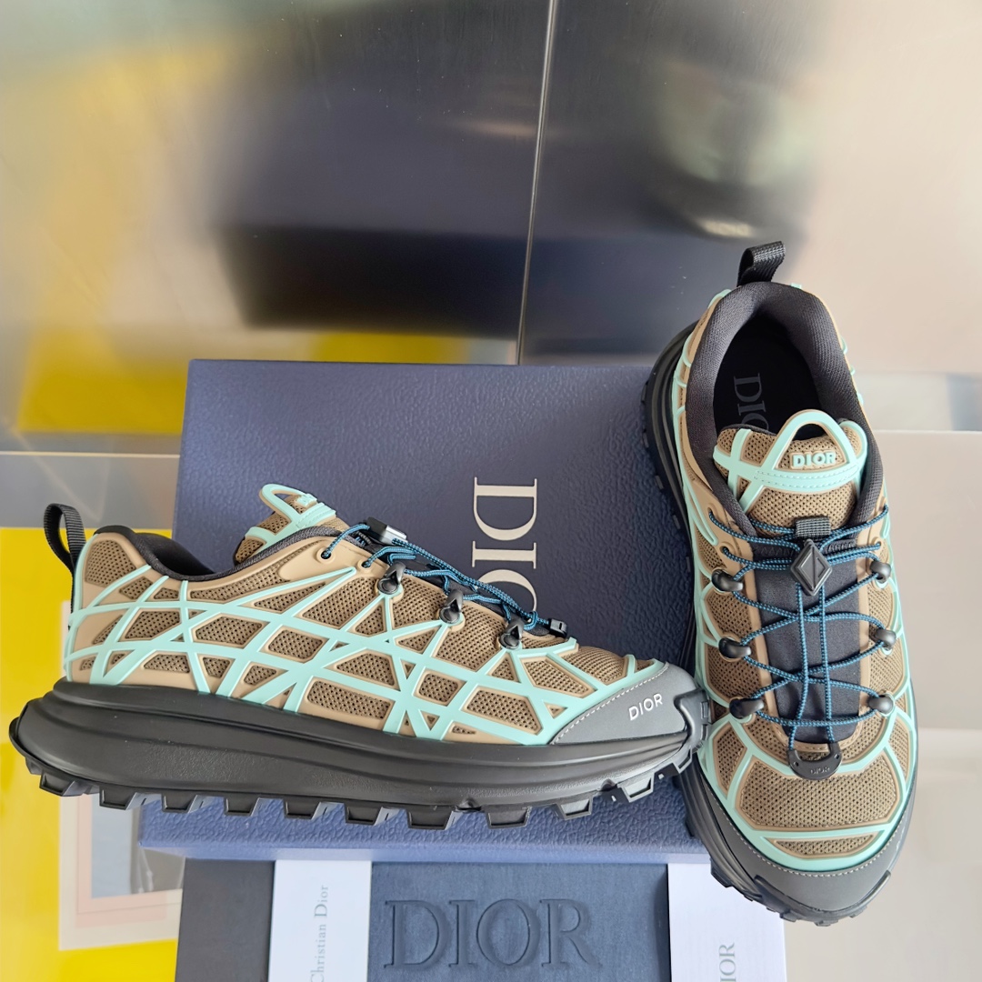 DiorSHOES