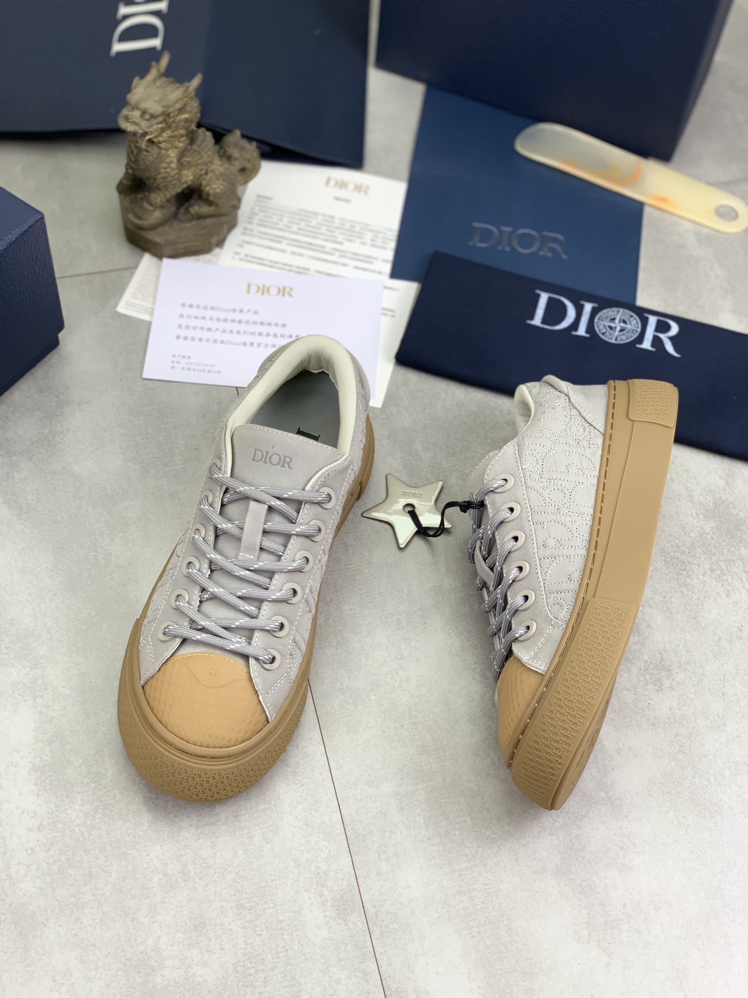 DiorSHOES