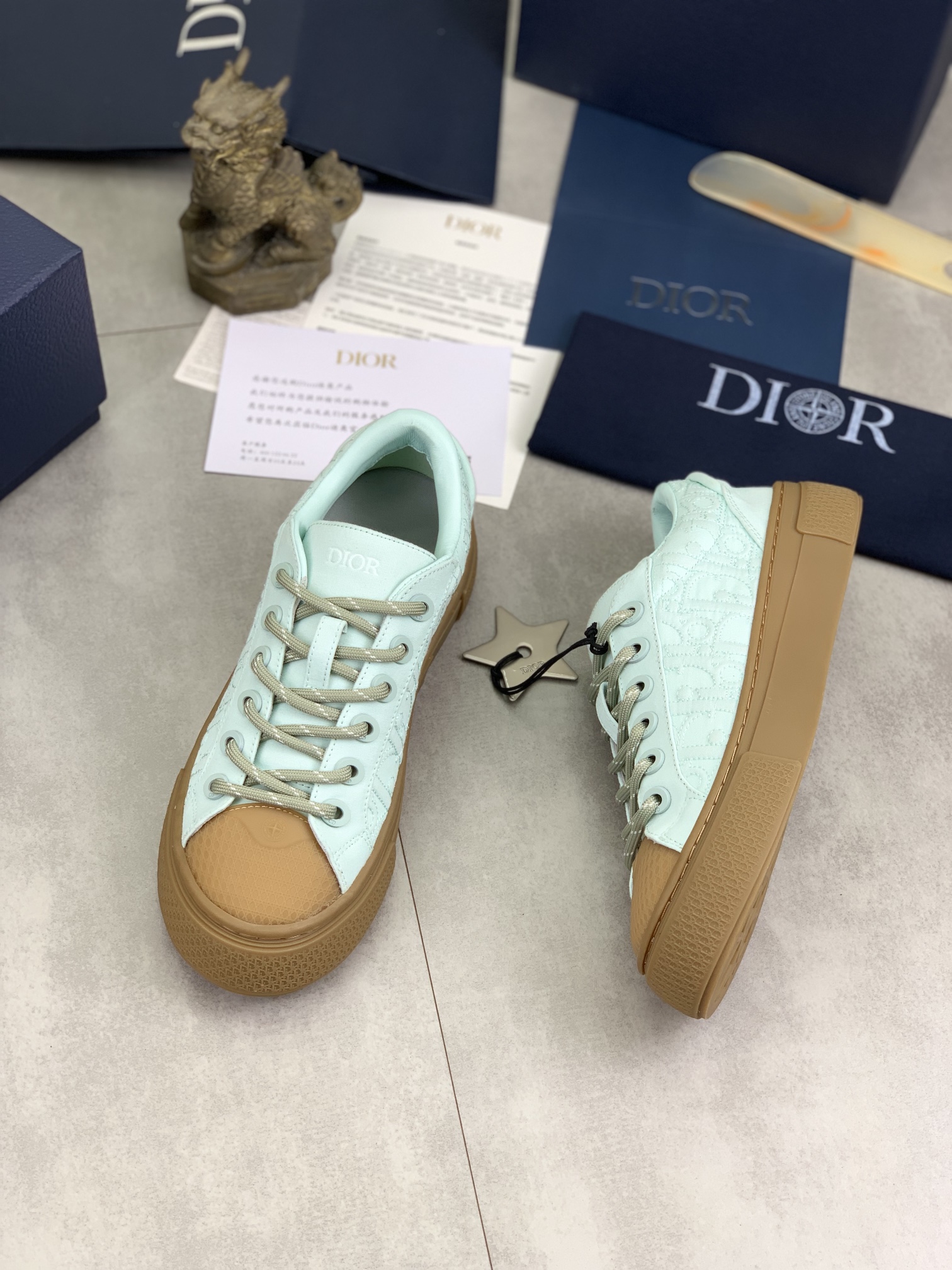 DiorSHOES